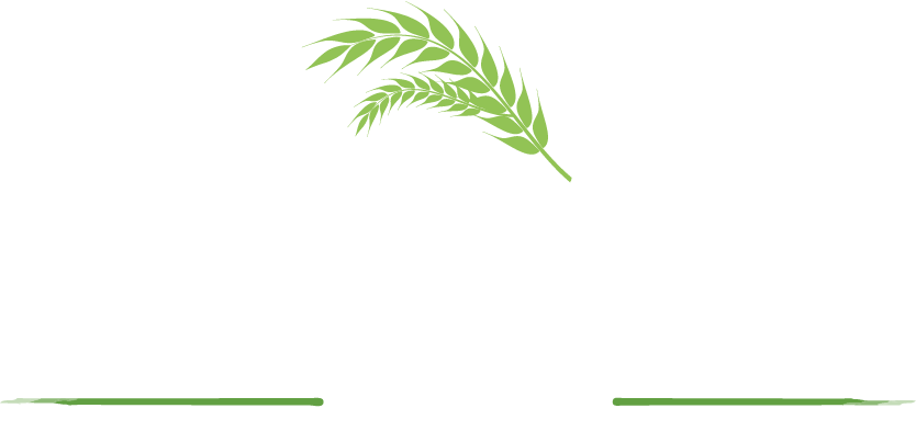 Rosa's Bakery